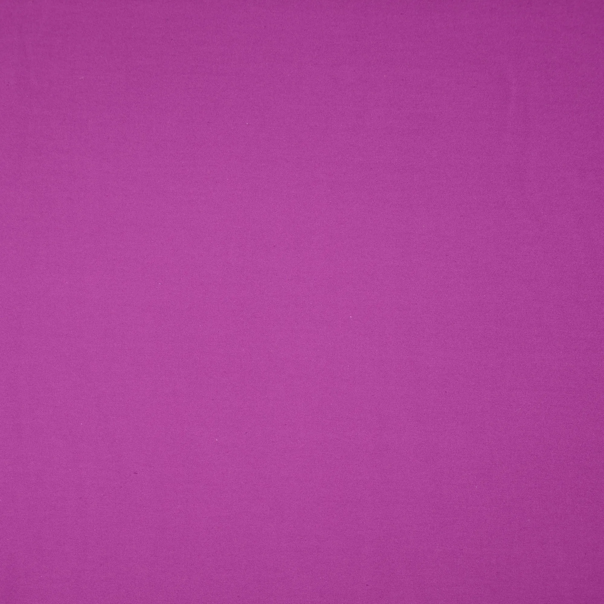 Essential Chic Purple Cotton Jersey Fabric